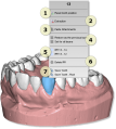 Maestro3d.dental.studio.virtual.setup.tooth.menu.png